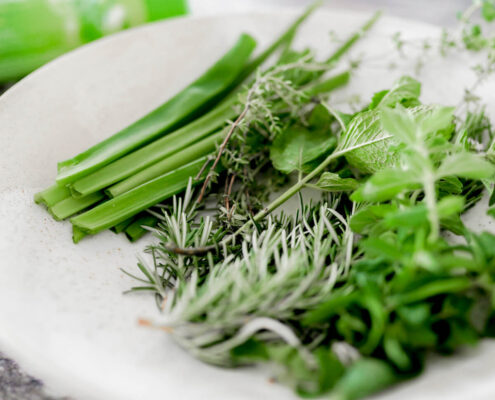 Spring Herbs