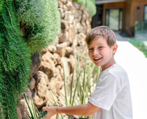 Spring Gardening